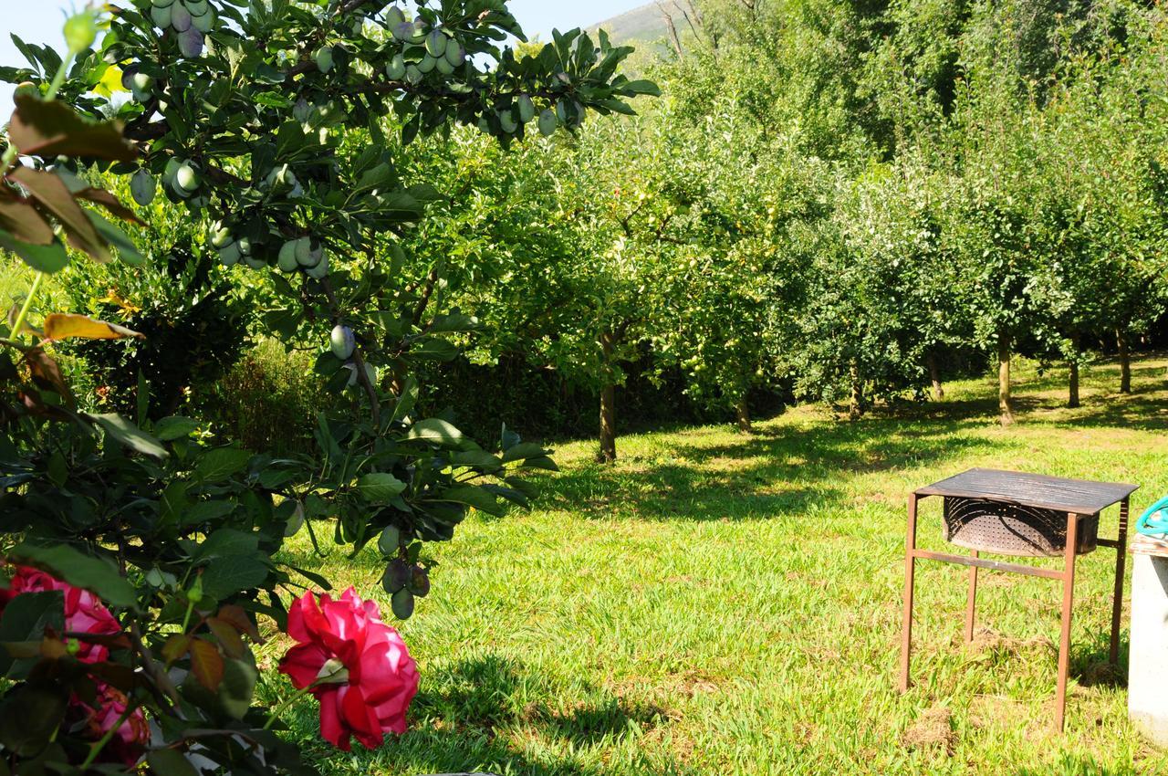 Guest House Markovic Будва Екстериор снимка